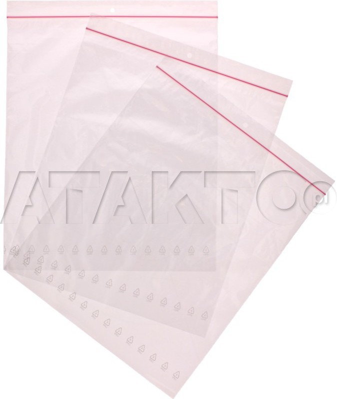 Zipper Woreczki strunowe 250x300 (100) VD1562