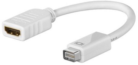 Wentronic HDMI Mini DVI Adapter kablowy 4040849517457