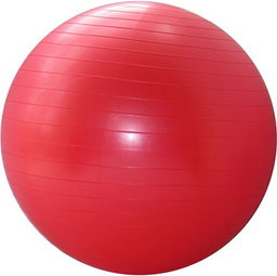 Spartan Piłka gimnastyczna 95 cm