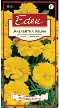 Eden AKSAMITKA NISKA PETIT GOLD 98109192