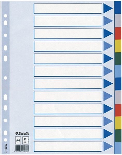 Esselte Przekładka plastikowe 12 kartek PP A4 kolorowe - N0387 NB-5508