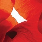 Alveus GLASSIX 10 CUSTOM 1102928