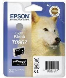 Epson T09674010