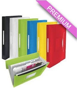 Esselte Teczka z przegródkami Vivida ES578-1/2/3/4/6/10