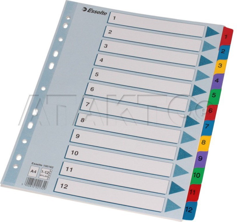 Esselte Przekładka kartonowe A4 1-12 Mylar ET5143
