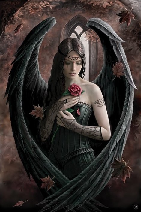 Pyramid Posters Angel Rose - plakat PP32093