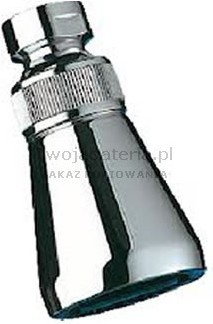 Delabie Gym Confort głowica natryskowa 711000