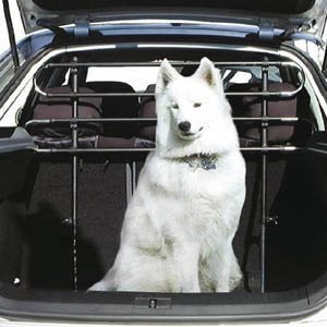 Green Valley 127101 Grille Guard Dog Stóp Prawa, Liczba 1