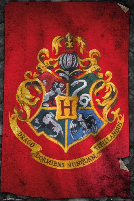 GBeye Harry Potter - Hogwart Flaga - plakat FP3955