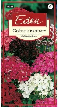 Eden GOŹDZIK BRODATY 98119092