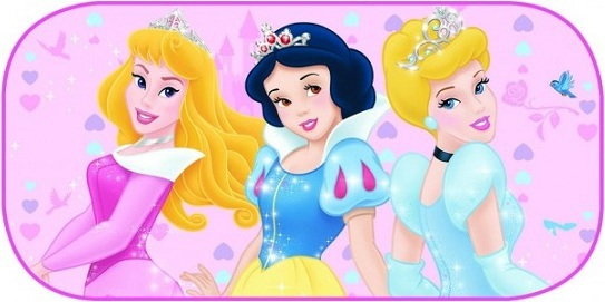 SEVEN Zasłonka na tył 80x40cm KSIĘŻNICZKI