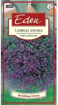 Eden LOBELIA ZWISAJĄCA NIEBIESKA 35288877