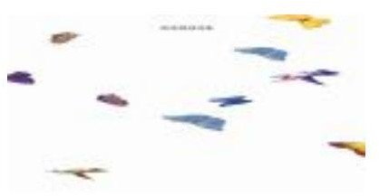 Schock Deska szklana premium uninwersalna do modeli o szerokości 500 mm 6