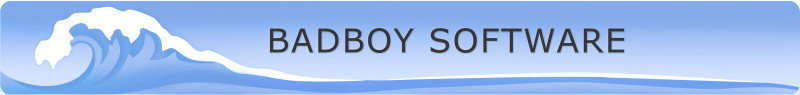 Badboy Badboy Individual License