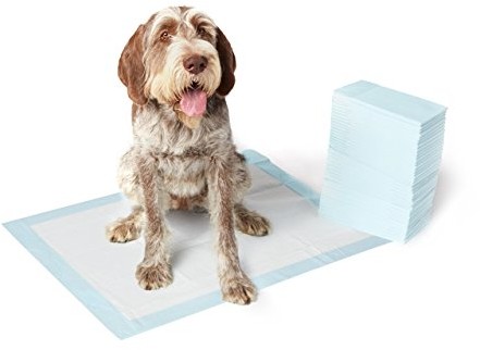 AmazonBasics Amazonbasics Podkłady Treningowe Dla Zwierząt, Zestaw 40 Sztuk