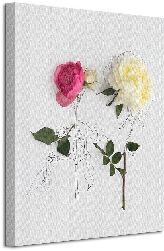 Pyramid Posters pink and white roses - Obraz na płótnie WDC94492