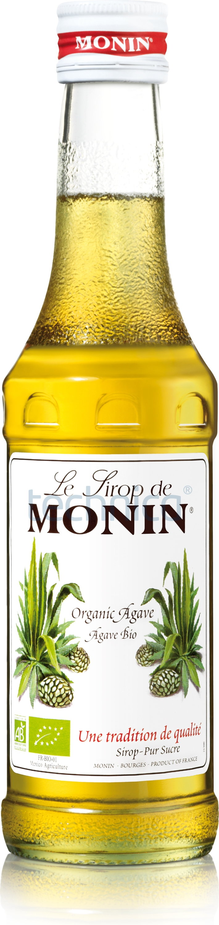 Monin Syrop 0,25 l - agawa | 907023 TOMGAST-907023