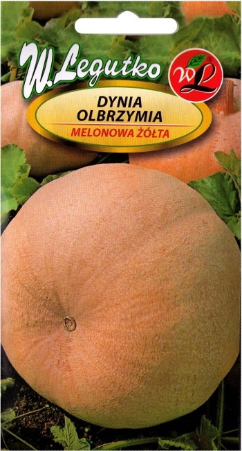 LEGUTKO W. Dynia Olbrzymia Melonowa Żółta 3g L