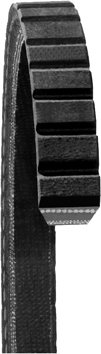 DAYCO Pasek klinowy 15495