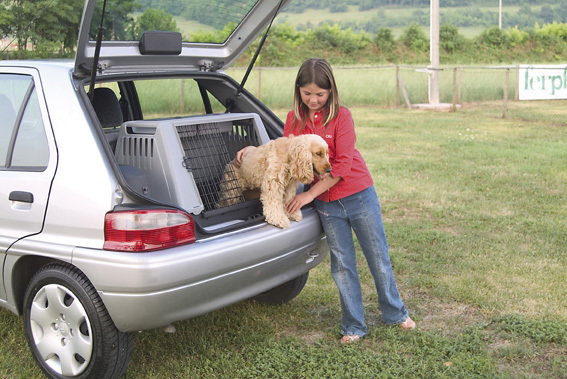 Ferplast Atlas Car 80 (82x51x61 cm) 73080021
