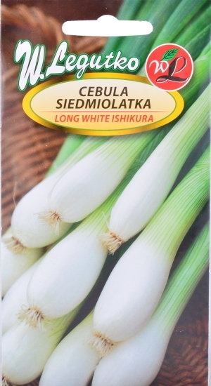 Legutko CEBULA SIEDMIOLATKA Long White Ishikura W. 2g ogr000395