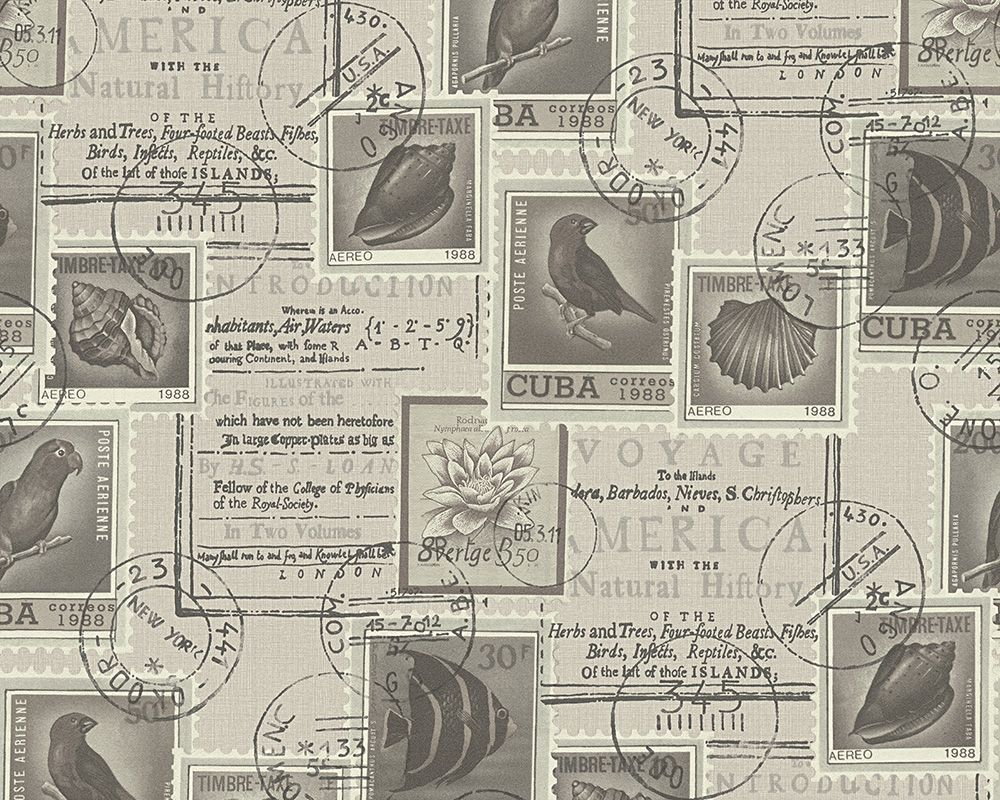 A.S. Creation Tapeta ścienna Dekora Natur 6 95899-2