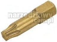 WOLFCRAFT bit Diament torx 10 1296000