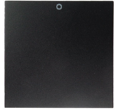 Berker HAGER POLO Sp. z o. o. / B.1/B.3/B.7 GLAS Klawisz Z NADRUKIEM 0 AN (16221606)