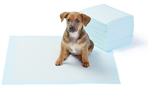AmazonBasics Amazonbasics Podkłady Treningowe Dla Zwierząt, Standardowy Rozmiar, Zestaw 50 Sztuk