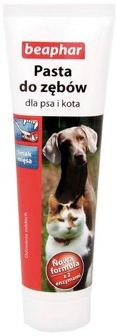 Beaphar Pasta do zębów o smaku mięsa dla psa i kota 100ml 13545