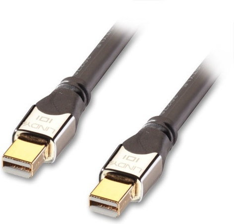 Lindy 41542 Kabel mini Display Port (DisplayPort) - 2m