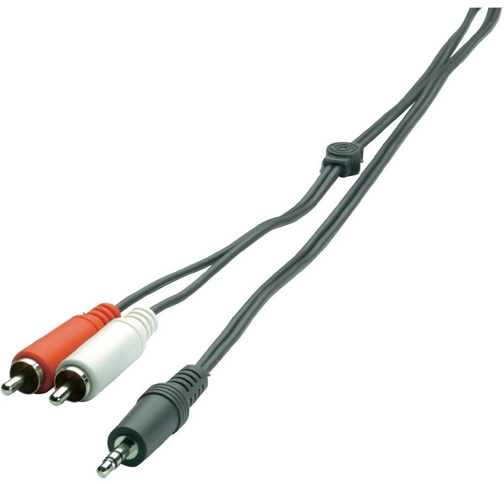 SpeaKa Kabel audio Cinch Jack Professional 11710C246 [2x Złącze męskie cinch 1x Złącze męskie jack 3 5 mm] 2 m czarny