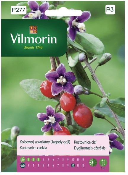 Vilmorin Nasiona kolcowój szkarłatny (Jagody Goji)