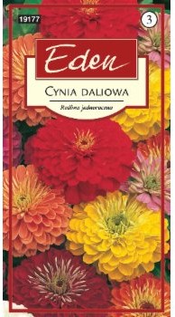 Eden CYNIA DALIOWA 92489269