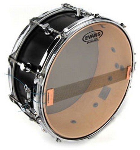 Evans evans s13r50 Snare Side Glass 500 Snare Drum sierść S14R50