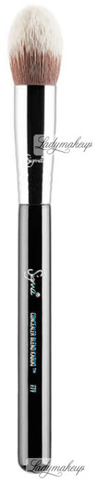 Sigma F79 Concealer Blend Kabuki - Pędzel do korektora SIGCKPKO