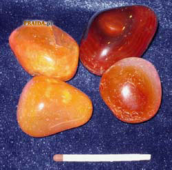 Karneol KB