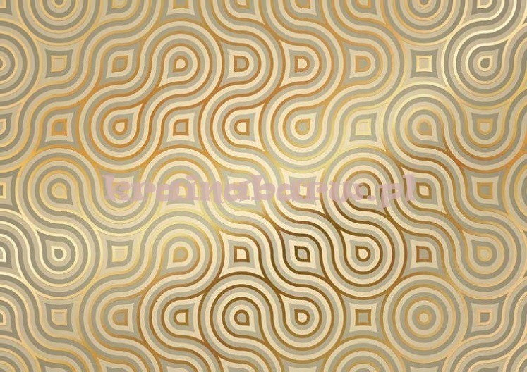 Komar Fototapeta 8-940 Meander