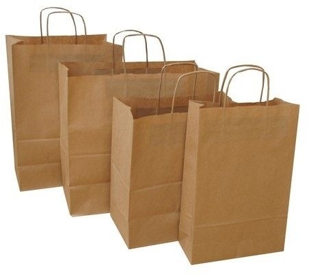 Torby papierowe 305 X 170 X 340 mm ECOBAG brązowe 100 szt. - F0409 NB-2290