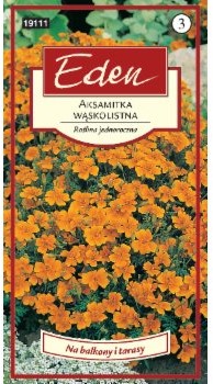 Eden AKSAMITKA WĄSKOLISTNA POMARAŃCZOWA 92255850