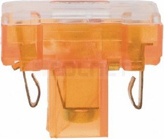 Berker Polska Wkładka jarzeniowa z zaciskiem neutralnym - B Kwadrat 16750 (167504)