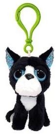 Russell Breloczek boston terrier
