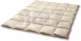 AMZ kołdry Poduszki Kolekcja Mr. PILLOW - kołdra całoroczna Puch 60%