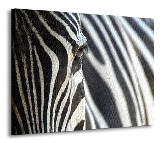 Nice wall Zebra - Obraz na płótnie CD0063