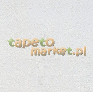 A.S. Creation MEISTERVLIES 1453-14 GO PRO