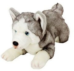 Suki piesek - Husky 35 cm 12057