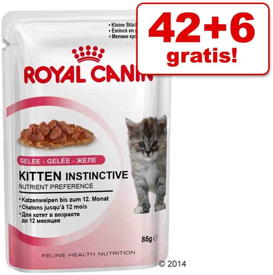 Royal Canin Mokra  48 X 85 G - Sterilised W Galarecie