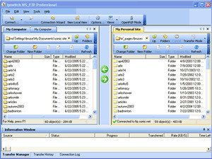 Ipswitch WS_FTP Professional (20 stan.)