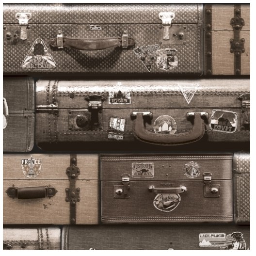 Tapeta winylowa Luggage na papierze 10 mb