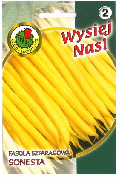 Nasiona fasola szparagowa żółta karłowa Sonesta 20 g
